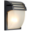 Nástenná lampa Prezent 39026 - Vonkajšie nástenné svietidlo AMALFI 1xE27/60W/230V IP44 (82721)