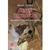 České tajemno 2 Nové pátrání nové objevy nové hypotézy - Arnošt Vašíček