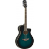 Yamaha APX 600 OBB