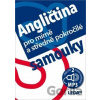 Angličtina pro mírně a středně pokročilé samouky + MP3 - Leda