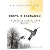 Cesta k zázrakům - Rosenthal Robert