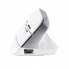 Trust Bayo+ Multidevice Ergonomic Wireless Mouse 25399