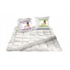 Perina, paplón - Prikrývka 4 sezóny 160x200 + 2 70x80 anti -allergické (Prikrývka 4 sezóny 160x200 + 2 70x80 anti -allergické)
