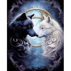 Diamantový obraz Vlci jin-jang