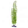 Penn Plax Flowering Cabomba Super 45,5 cm
