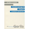 Soudobá sociologie III - Jiří Šubrt, kolektív autorov