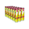 Tenisové míče WILSON CHAMPIONSHIP EXTRA DUTY 72 ks karton 18 dóz (4ks) WRT110000