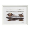 Atelier - Petr Vydra Umelecké fotografie Zvieratá - Nezáujem (biely rám), Velikost a varianta fotografií Bílý rám 30 x 40 cm ( pasparta 21x 30 cm )