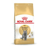 Suché krmivo pre dospelé mačky Royal Canin British Shorthair 4 kg
