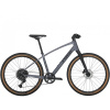 Bicykel Trek Dual Sport Dual 3 Gen 5 2024 šedý