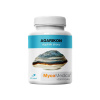 MycoMedica Agarikon 500 mg 90 kapslí