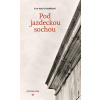 Pod jazdeckou sochou