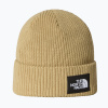 Zimná čiapka The North Face Salty Lined
