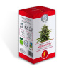 Konopný čaj (CBD čaj) - NeuraBoost