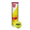 Tenisové míče WILSON CHAMPIONSHIP EXTRA DUTY (4ks) WRT110000