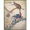 Passenger Pigeon