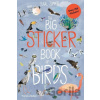 The Big Sticker Book of Birds - Yuval Zommer