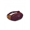 Ľadvinka OSPREY Seral 4 Aprium Purple V2