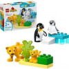 LEGO® DUPLO® 10442 Rodinky divokých zvierat: Tučniaky a levy