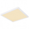 LED stropné svietidlo Globo 41563-24W