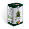 Konopný čaj (CBD čaj) - Mighty Mint