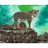 Vymalujsisam.sk Maľovanie podľa čísiel - Leopard číha na korisť Veľkosť: 40x50cm, Rám: Bez rámu, iba zrolované plátno