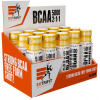 Extrifit BCAA 5000 2:1:1 Shot 15 x 90 ml - marhuľa