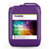 Plagron Green Sensation 5l zosilnenie kvitnutia 1:1000 (Plagron Green Sensation 5l zosilnenie kvitnutia 1:1000)