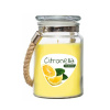 Strend Pro Citronella sklo 85 x 105 mm