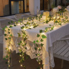 LED dekorácia - 20 LED - 2 m - teplá biela