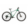 Pells Razzer 1 2024
