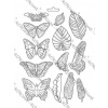 Odlievacia forma - Motýle a listy Amazonia