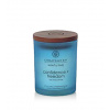 Chesapeake Bay Confidence + Freedom vonná sviečka 96 g