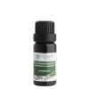 NOBILIS TILIA Éterický olej Lemongras 20 ml