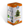 Konopný čaj (CBD čaj) - Citrus Fruits