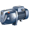 Pedrollo 1AX FUTURE 230V