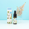 Kvitok Pleťové sérum - Kolagén (rastlinný) 10ml 10 ml
