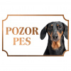 Jazvečík hladkosrstý - Kovová tabuľka POZOR PES