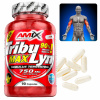 Doplnok Tribulus terrestris kapsule Amix prírodný 125 g 90 ml