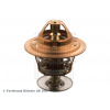 Termostat chladenia BLUE PRINT ADD69203