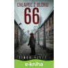 E-kniha Chlapec z bloku 66 - Limor Regev