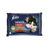 PURINA Kapsičky FELIX Fantastic kura s rajčinami & hovädzie s mrkvou v želé 4 x 85 g Variant: 4 x 85 g