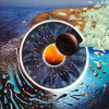 Pink Floyd - P.U.L.S.E. 4LP