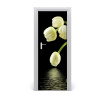 Fototapeta samolepiace biele tulipány 75x205