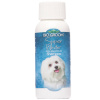 Bio-Groom Super White Shampoo - šampón rozjasňujúci bielu farbu srsti psov a mačiek - 59ml