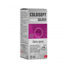 Coldisept nanoSILVER ústny sprej 20 ml