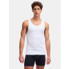 Under Armour Pánske tielko M UA Perf Cotton Tank-2pk XXL