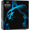 Cryptozoic Batman: Návrat Temného rytíře - desková hra - Deluxe edice (CZ)