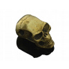 Mosadzný prívesok - 3D lebka (Mosadzný prívesok - 3D lebka)