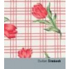 Dušan Šimánek - Anna Fárová, Lenka Lindaurová